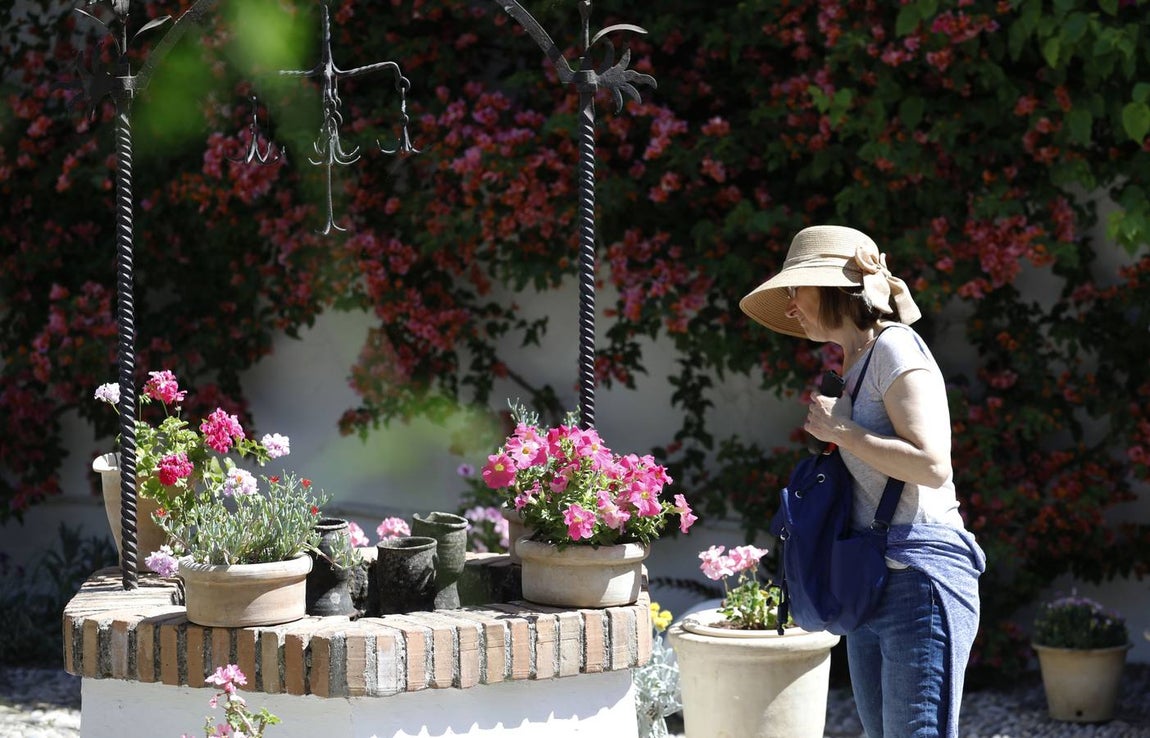 El asombro de los patios del Palacio de Viana de Córdoba, en imágenes