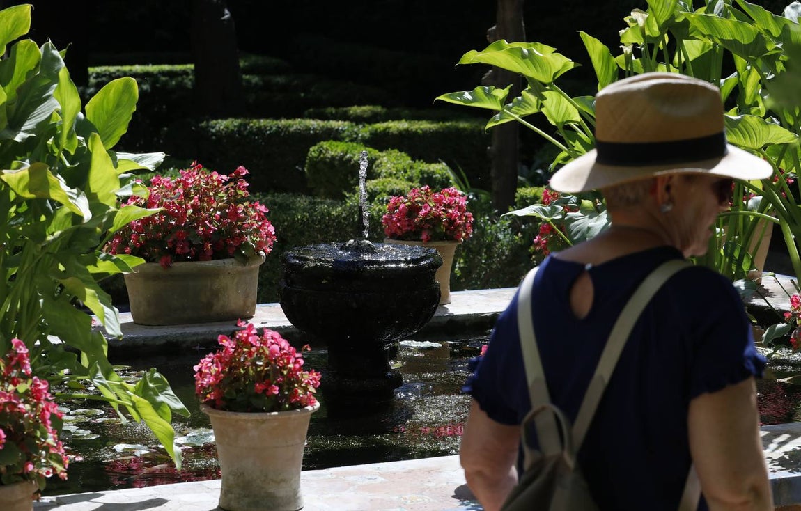 El asombro de los patios del Palacio de Viana de Córdoba, en imágenes