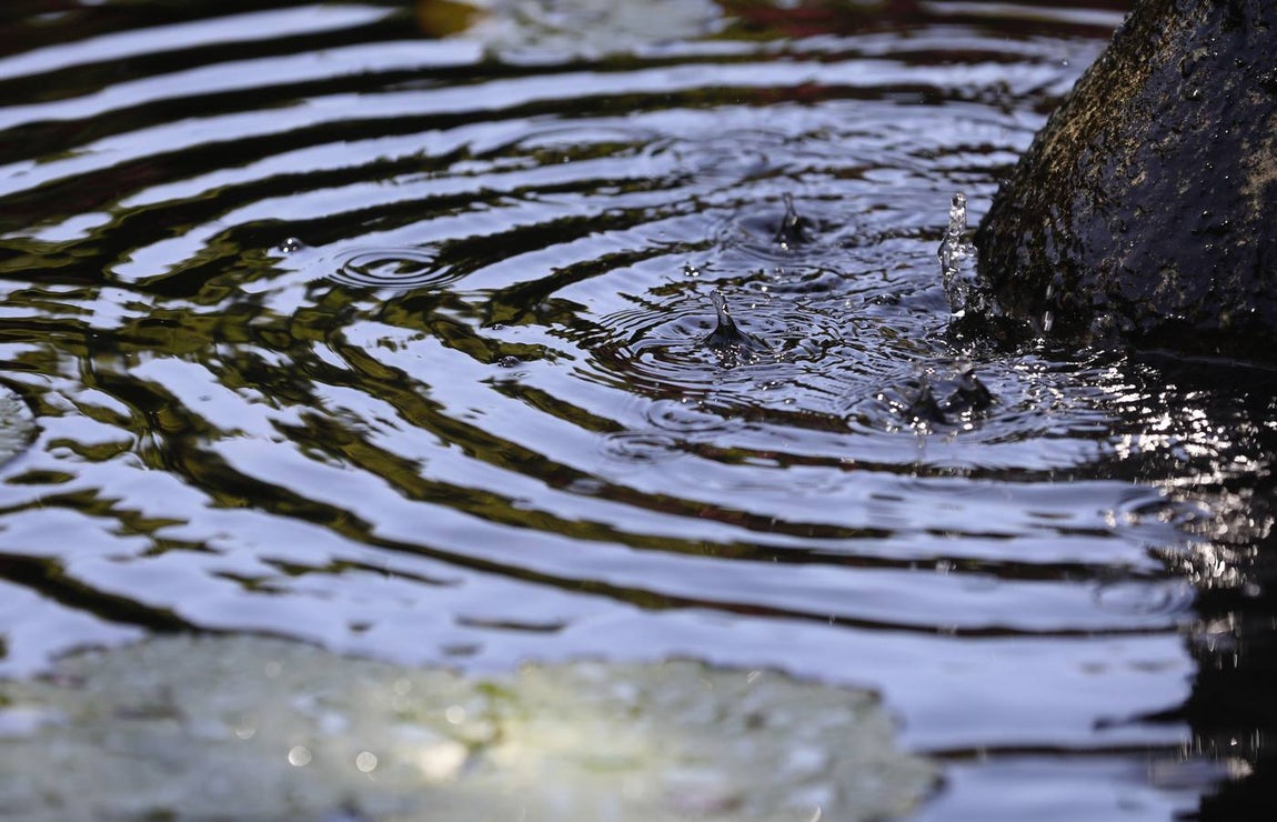 El asombro de los patios del Palacio de Viana de Córdoba, en imágenes