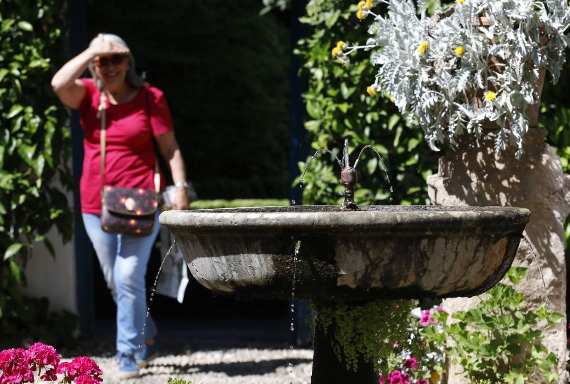 El asombro de los patios del Palacio de Viana de Córdoba, en imágenes