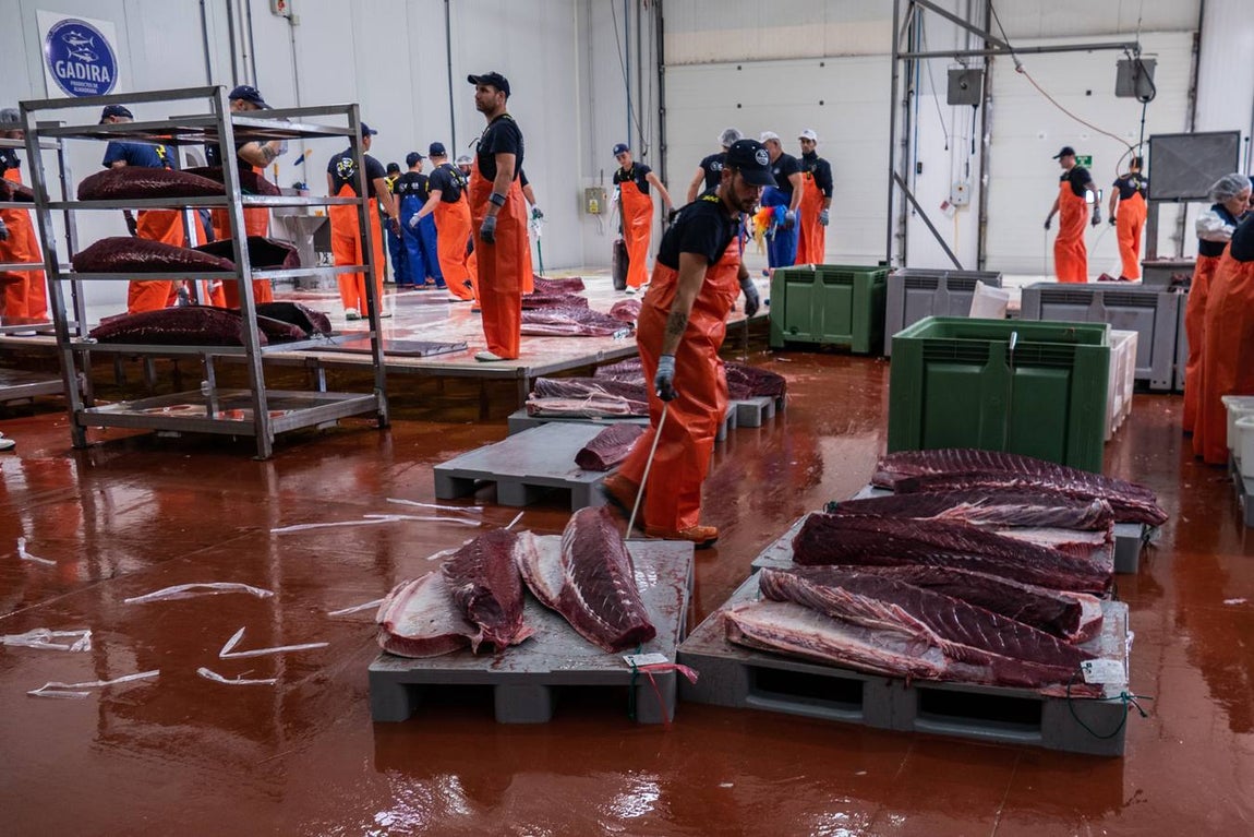 Fotogalería: Los últimos artesanos de las almadrabas
