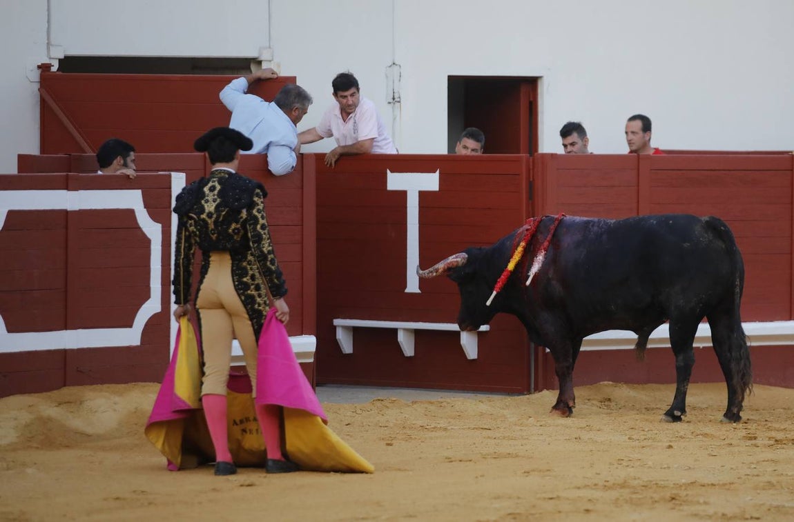 Toro indultado camino de corrales