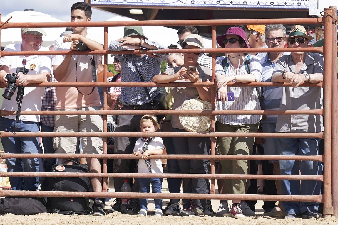 Impresionantes imágenes de la Saca de yeguas en el Rocío