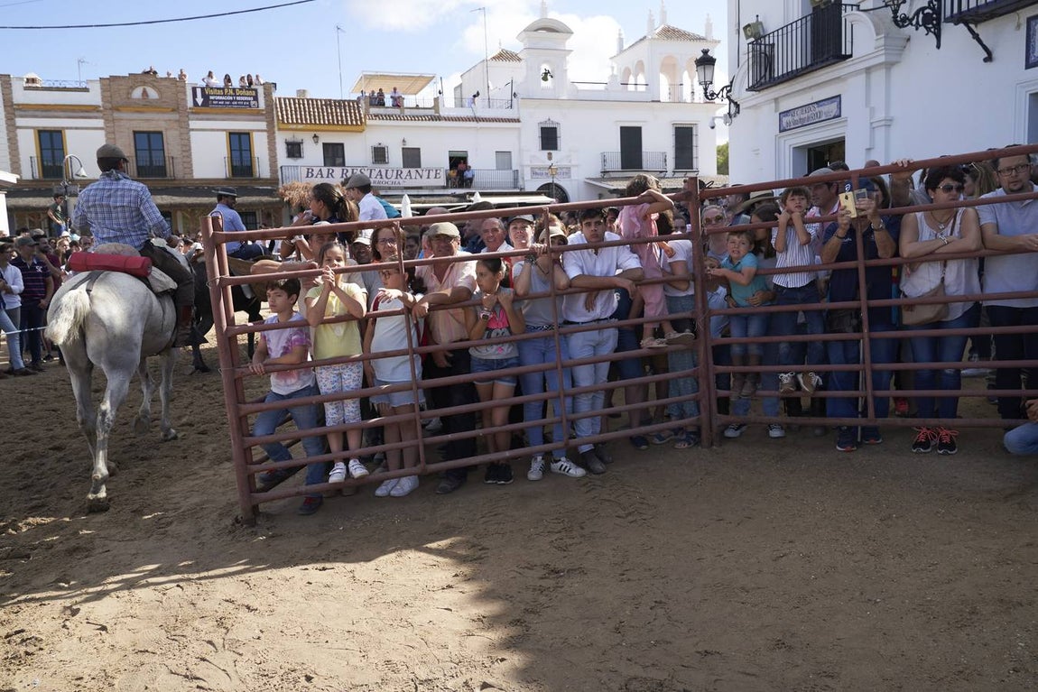 Impresionantes imágenes de la Saca de yeguas en el Rocío