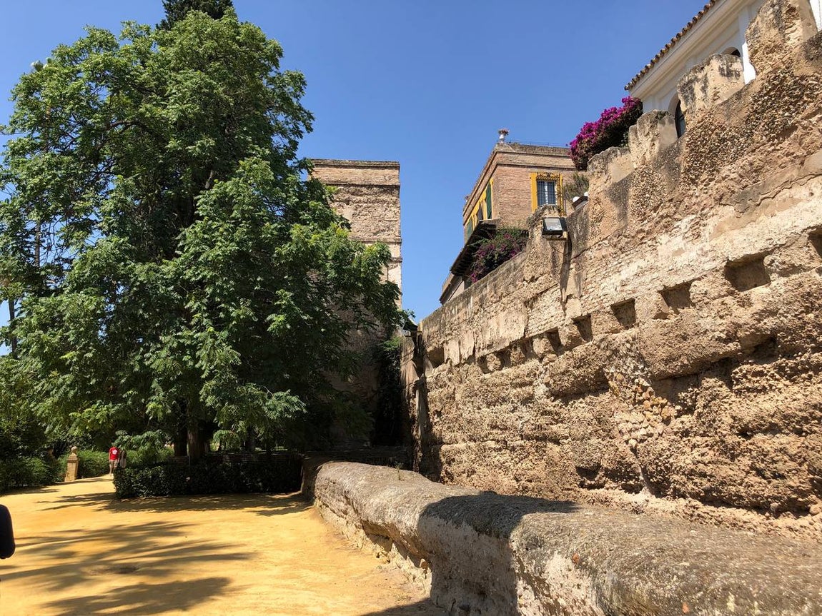 En imágenes, los desperfectos del Alcázar de Sevilla