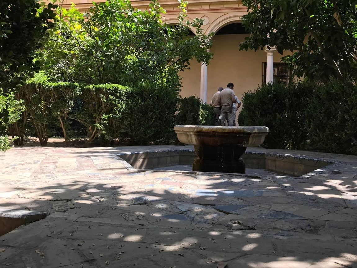 En imágenes, los desperfectos del Alcázar de Sevilla