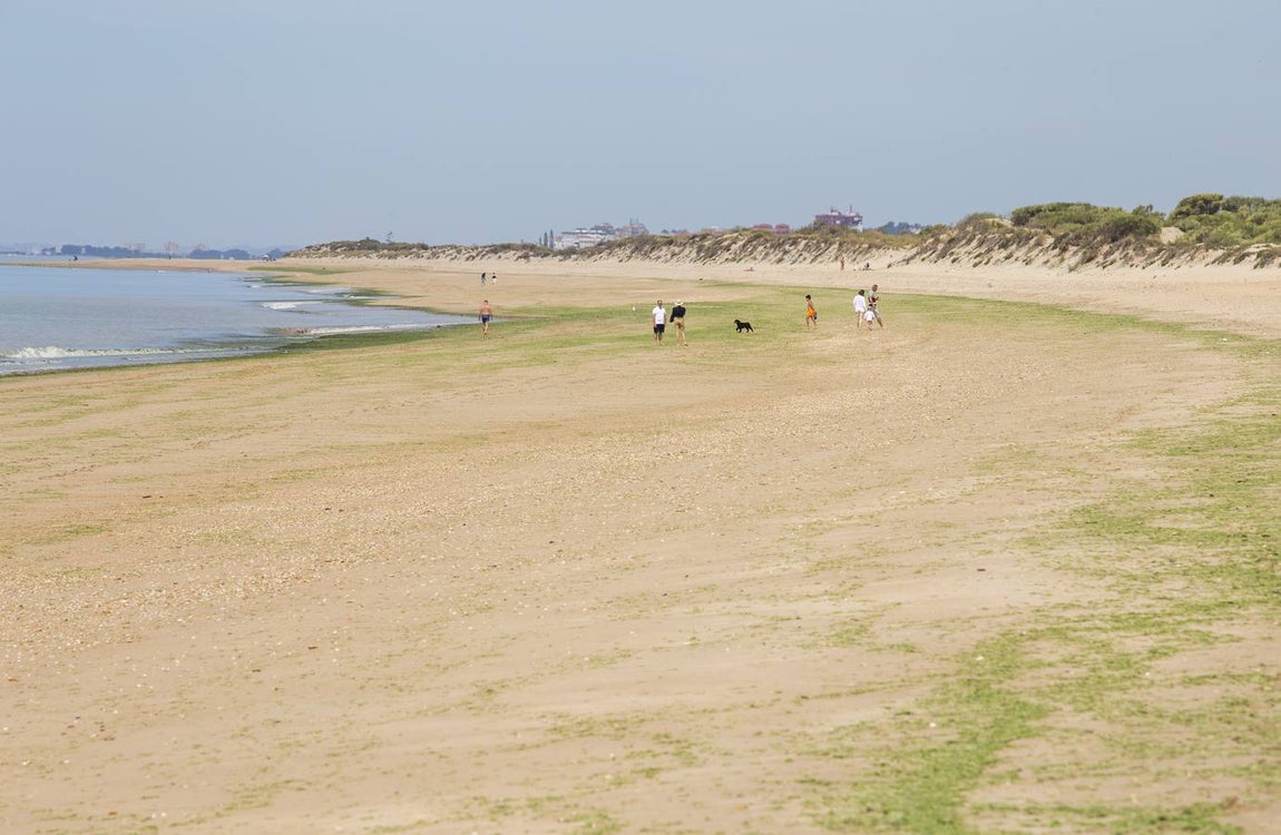 Playa de El rompido. Provincia de Huelva