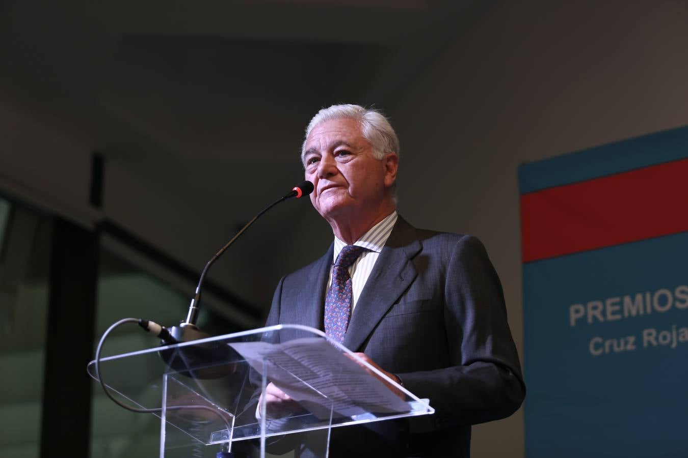 Entrega de los Premios Voluntariado 2019 de la Cruz Roja, en imágenes