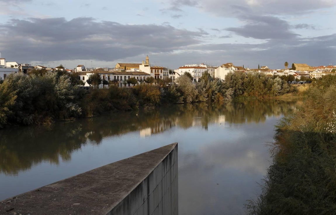 El lamentable estado del río en Córdoba, en imágenes