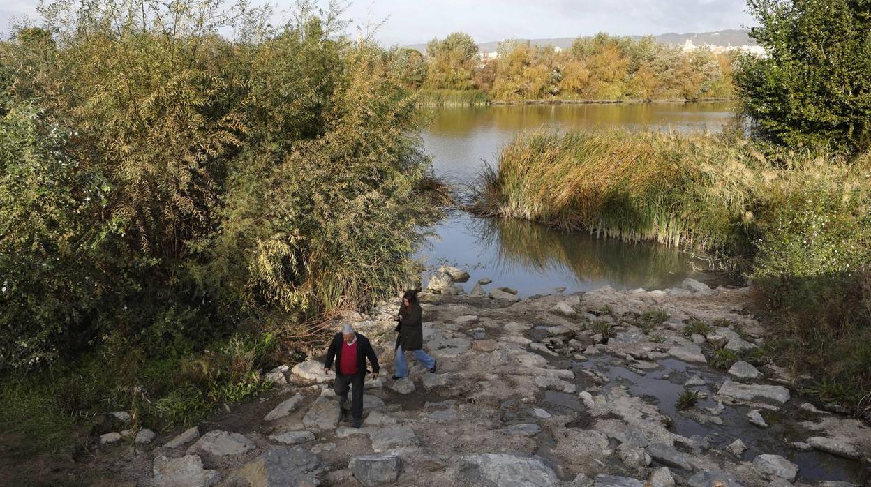 El lamentable estado del río en Córdoba, en imágenes