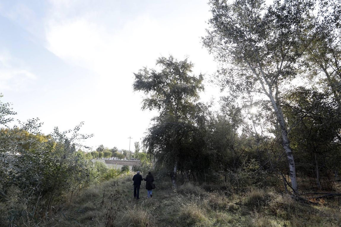 El lamentable estado del río en Córdoba, en imágenes
