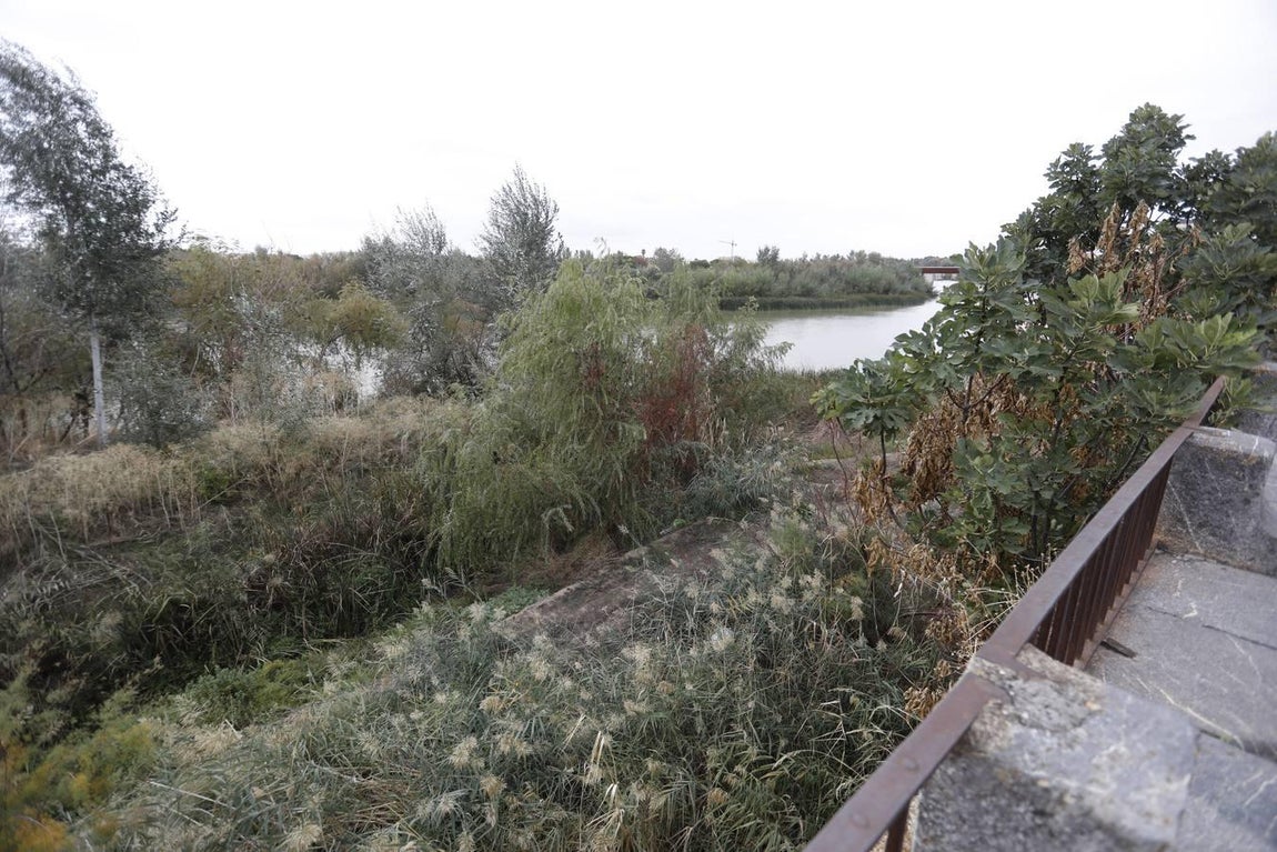 El lamentable estado del río en Córdoba, en imágenes