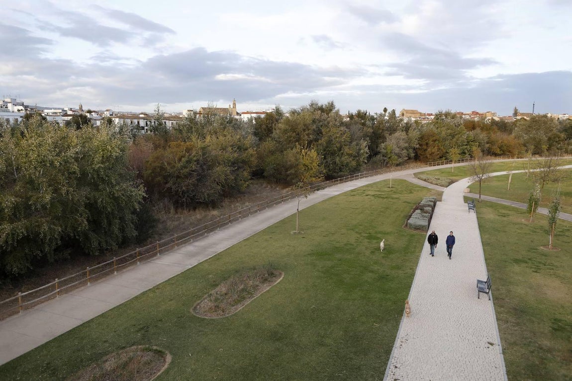 El lamentable estado del río en Córdoba, en imágenes
