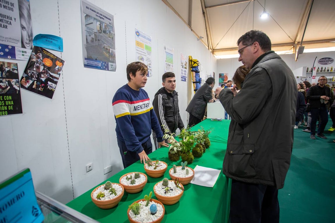 El II Encuentro Provincial de Empleo y Emprendimiento, en imágenes