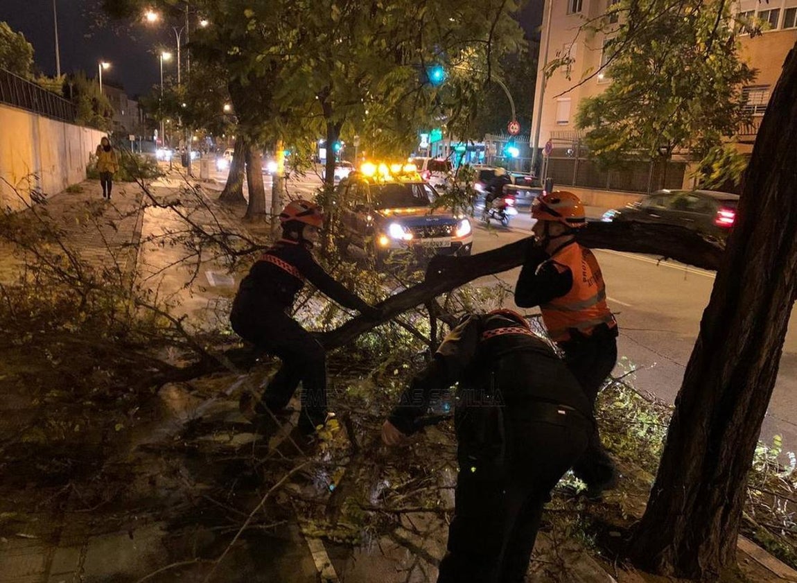 Los efectos de la borrasca Daniel en Sevilla, en imágenes