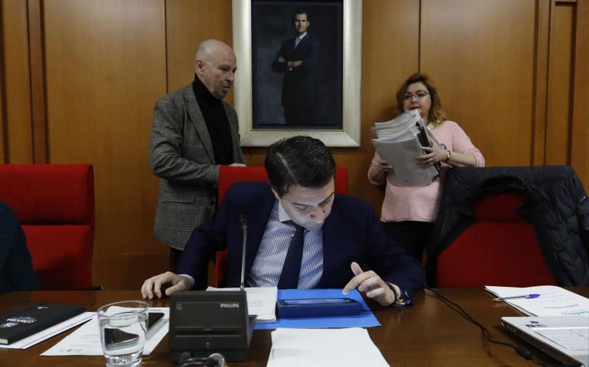 El último Pleno del año en el Ayuntamiento de Córdoba, en imágenes