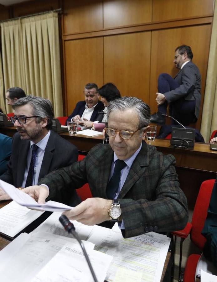El último Pleno del año en el Ayuntamiento de Córdoba, en imágenes