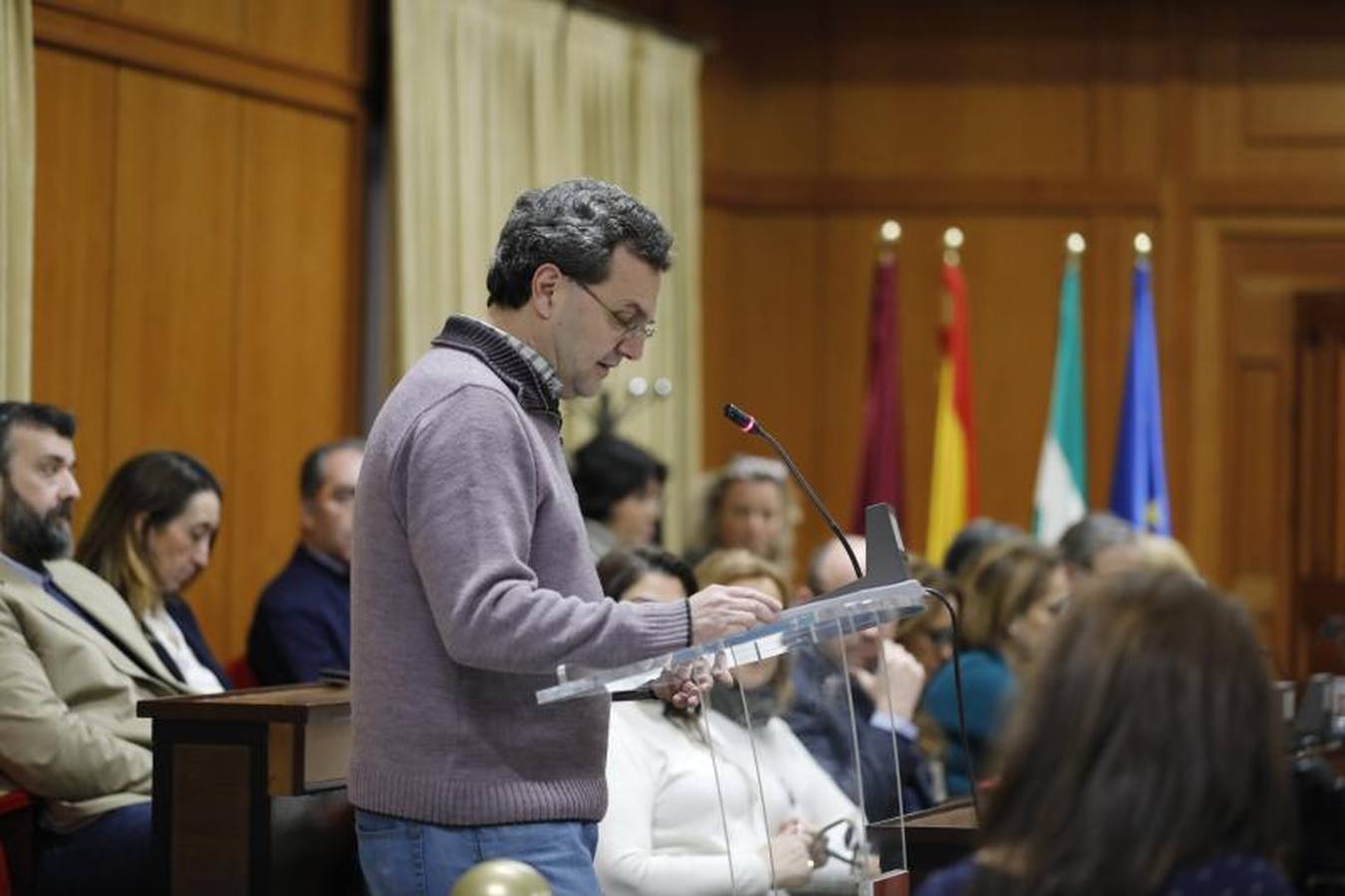 El último Pleno del año en el Ayuntamiento de Córdoba, en imágenes