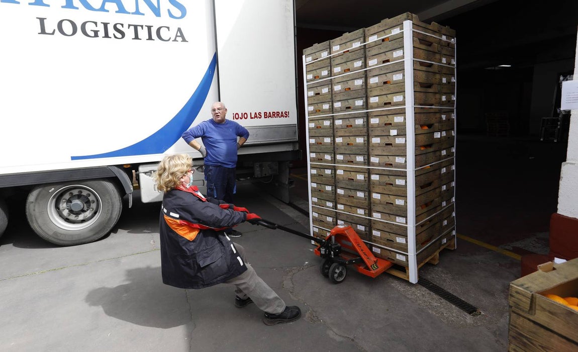 En imágenes, el reparto de comida en Córdoba frente al coronavirus