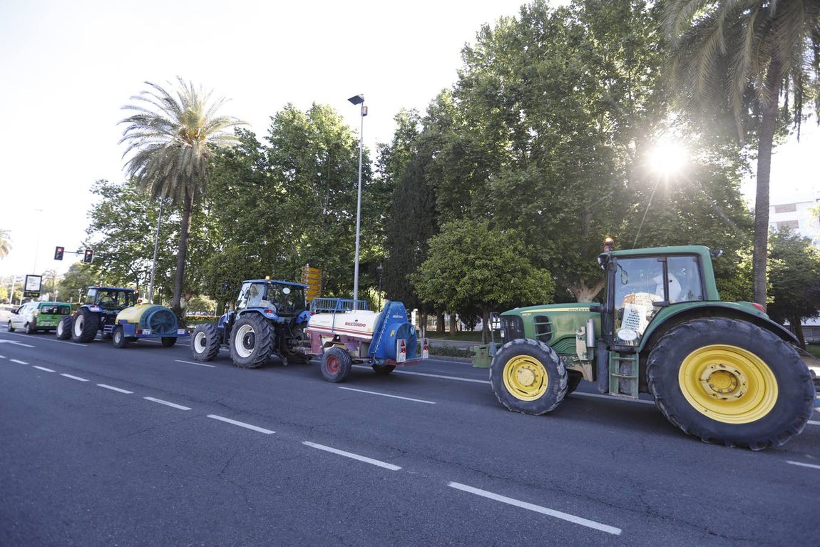 Tractores de los agricultores y Sadeco desinfectan Córdoba, en imágenes