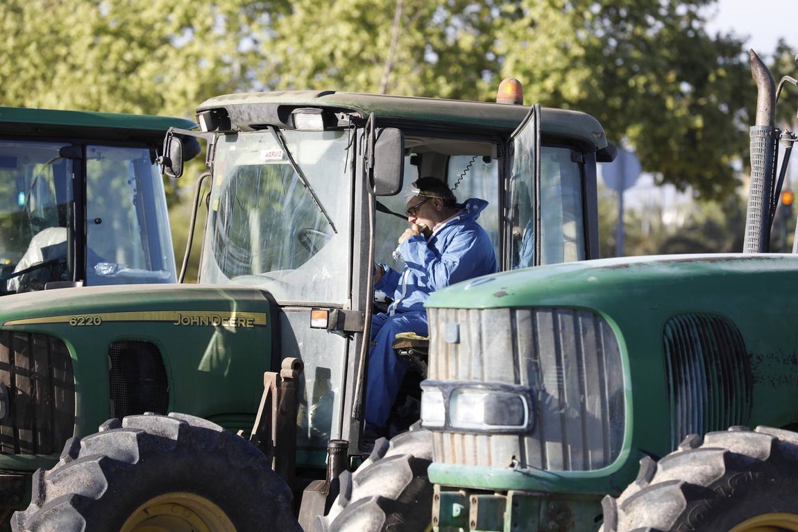 Tractores de los agricultores y Sadeco desinfectan Córdoba, en imágenes