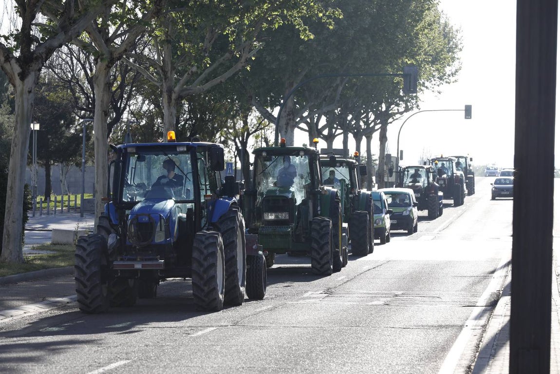 Tractores de los agricultores y Sadeco desinfectan Córdoba, en imágenes