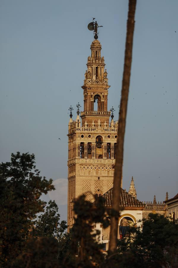 La luna tiñe de rosa las noches de Sevilla