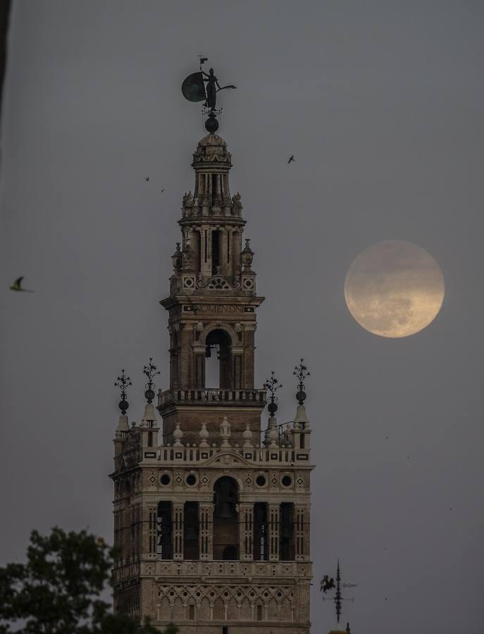 La luna tiñe de rosa las noches de Sevilla