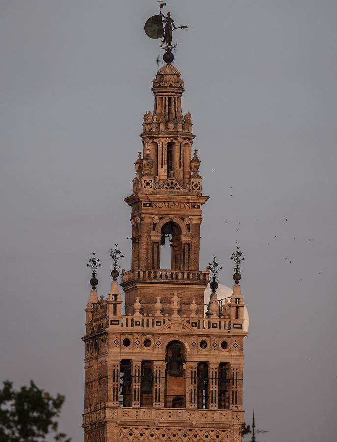 La luna tiñe de rosa las noches de Sevilla