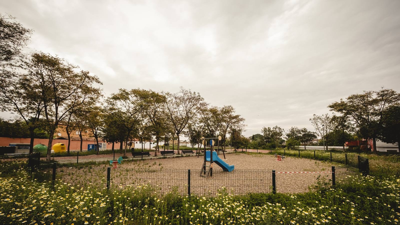 Coronavirus en Sevilla: así se vive el confinamiento en Palomares