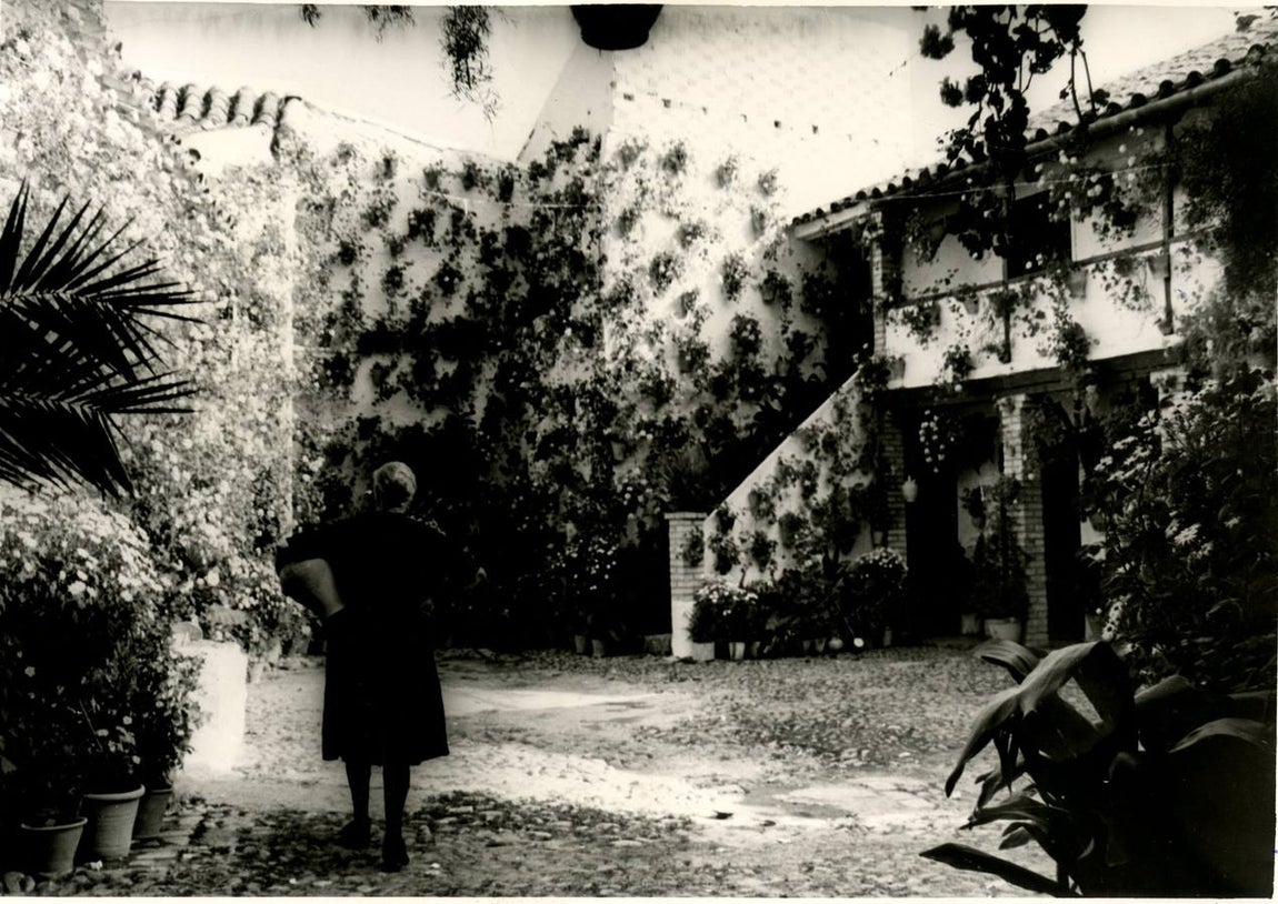 Patios de Córdoba | Una mirada en blanco y negro por una belleza centenaria