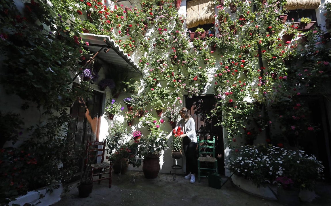 Los patios de San Basilio de Córdoba en el confinamiento, en imágenes