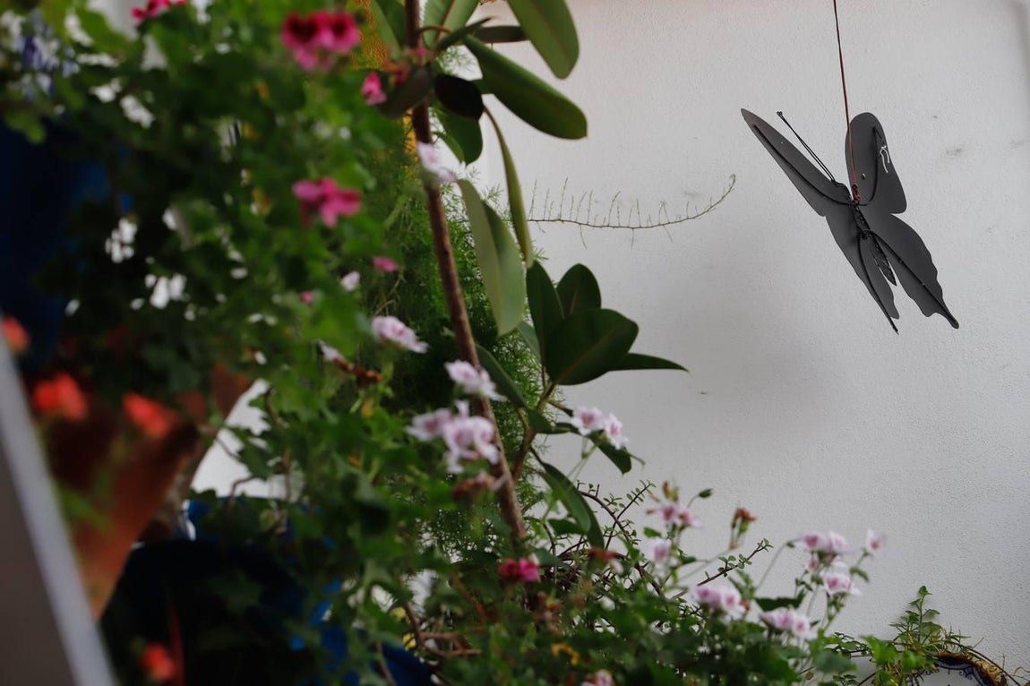 Los patios de Tafures, Ocaña y el Pozanco de Córdoba, en imágenes