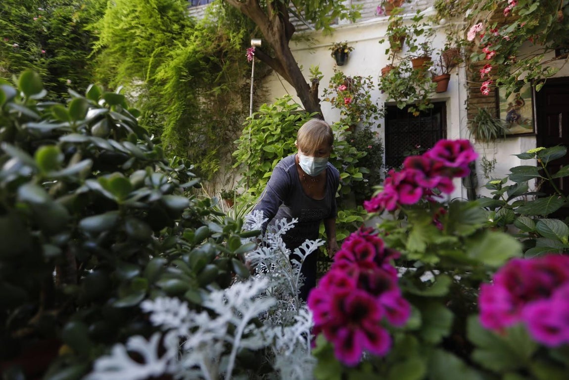 Los patios de Córdoba en Parras y Diego Méndez, en imágenes