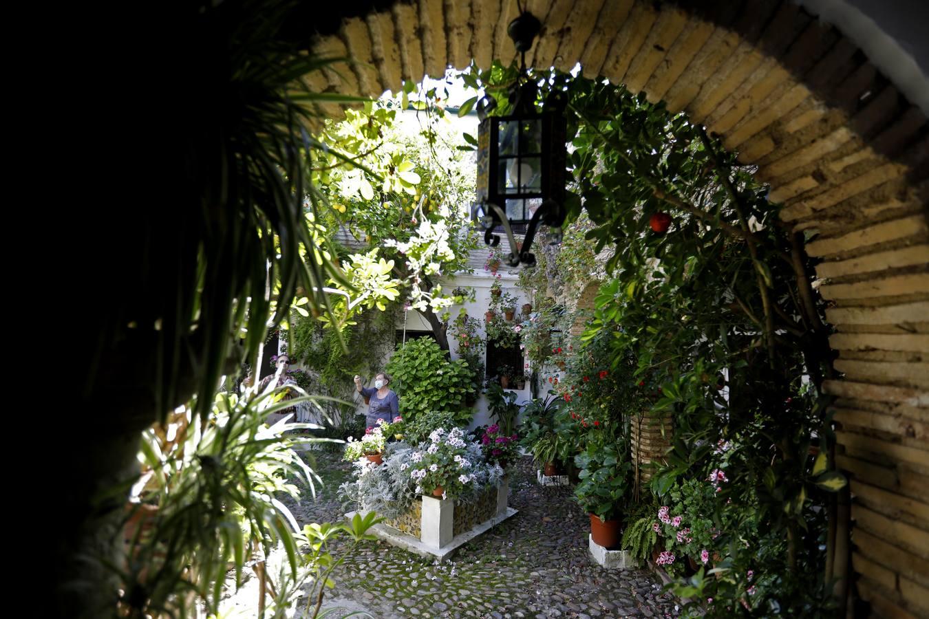 Los patios de Córdoba en Parras y Diego Méndez, en imágenes