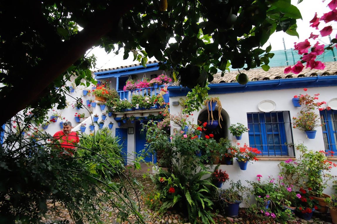 Los patios de San Juan de Palomares de 2020, en imágenes