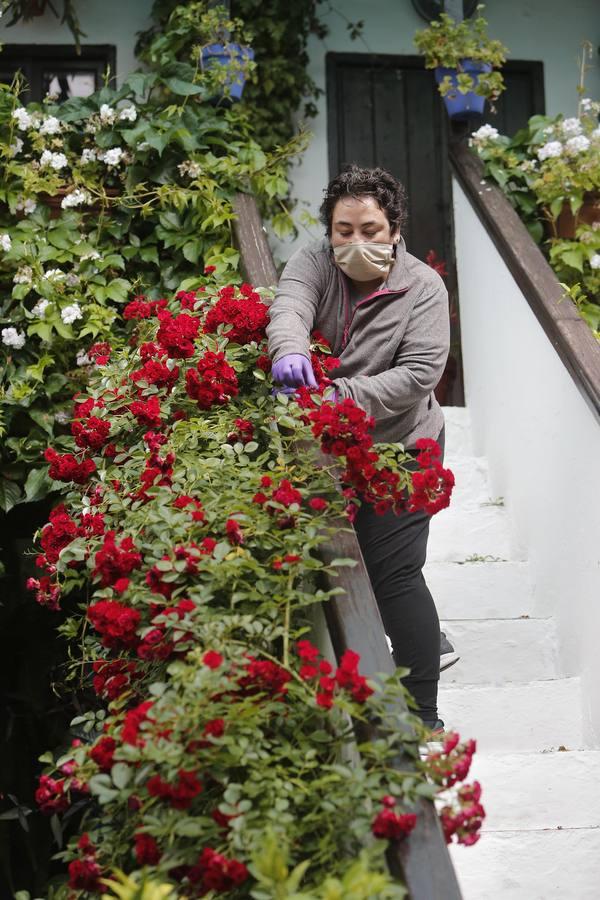 La esencia de los patios de Duartas y San Basilio, 44 en imágenes