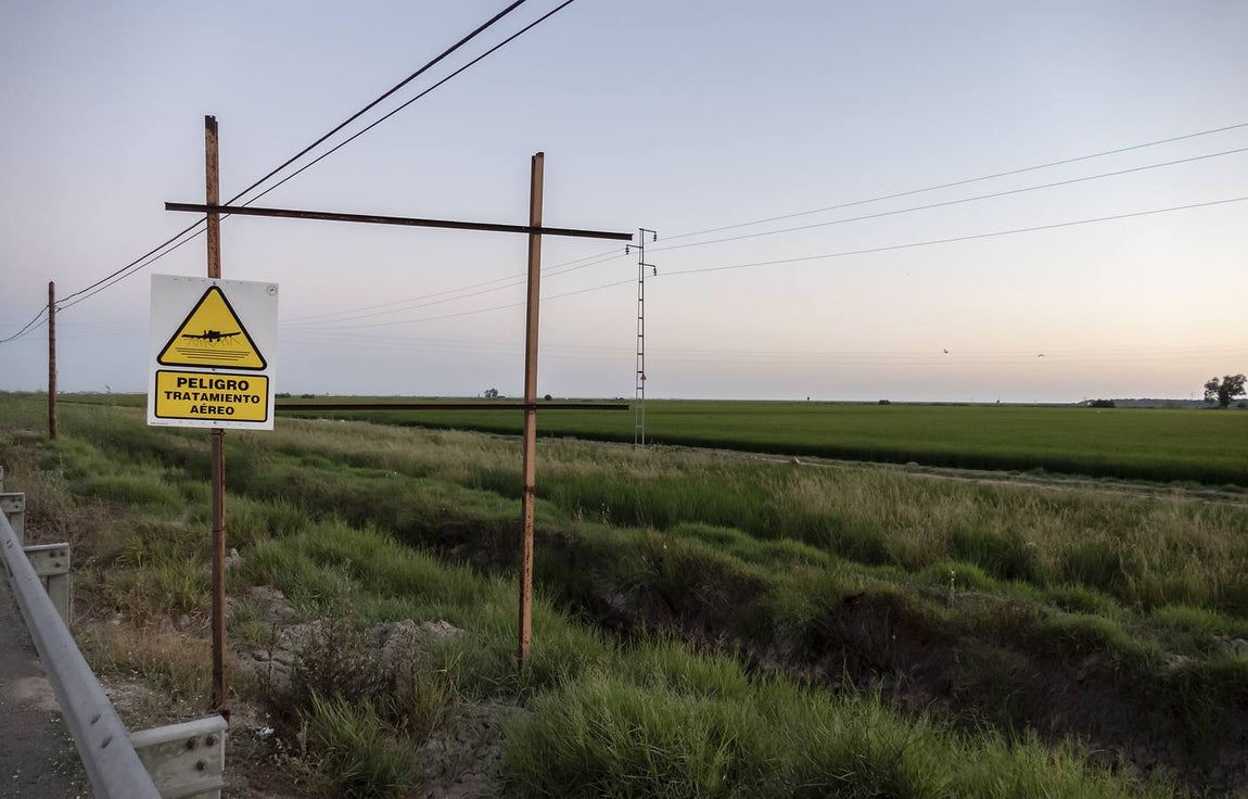 En imágenes, la belleza de unas marismas ahora en alerta por el virus del Nilo