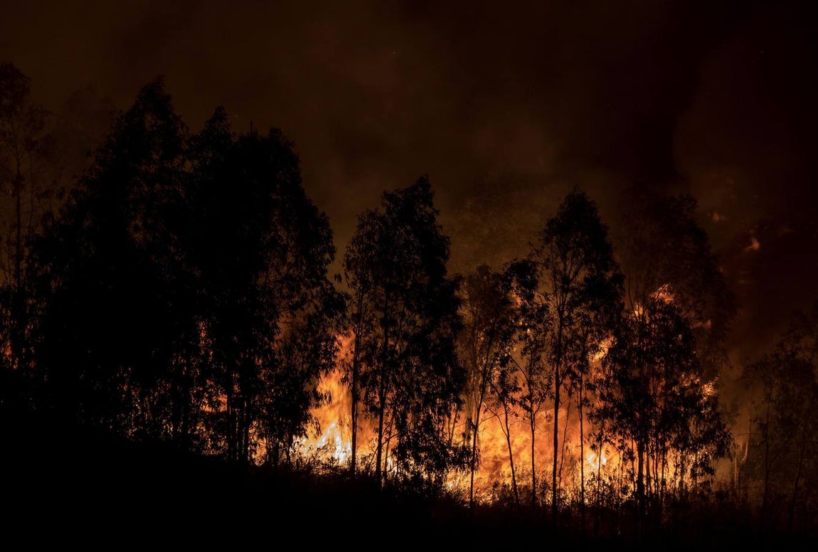 Incendio en la Sierra de Huelva: en imágenes, el día después de un fuego devastador