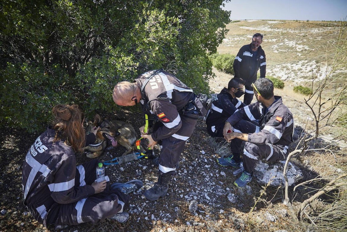 La búsqueda de la joven cordobesa Maite Cantarero, en imágenes