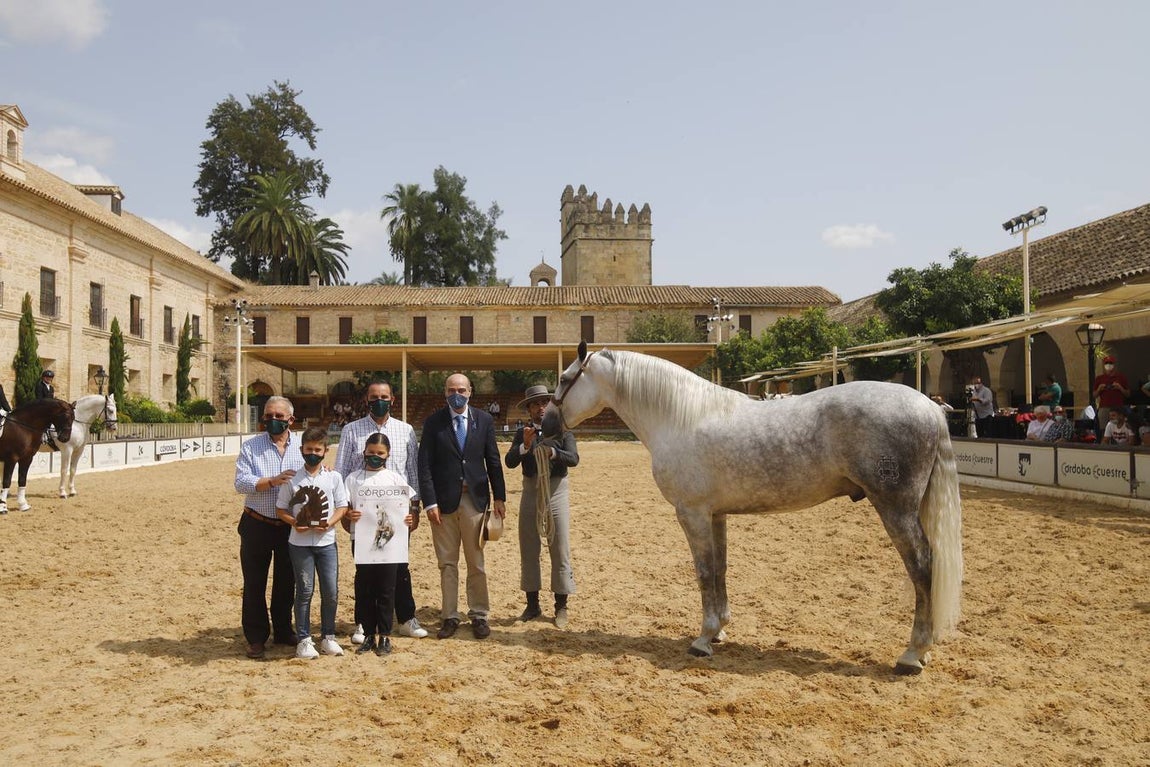 La entrega de premios del «Ciudad de Córdoba», en imágenes