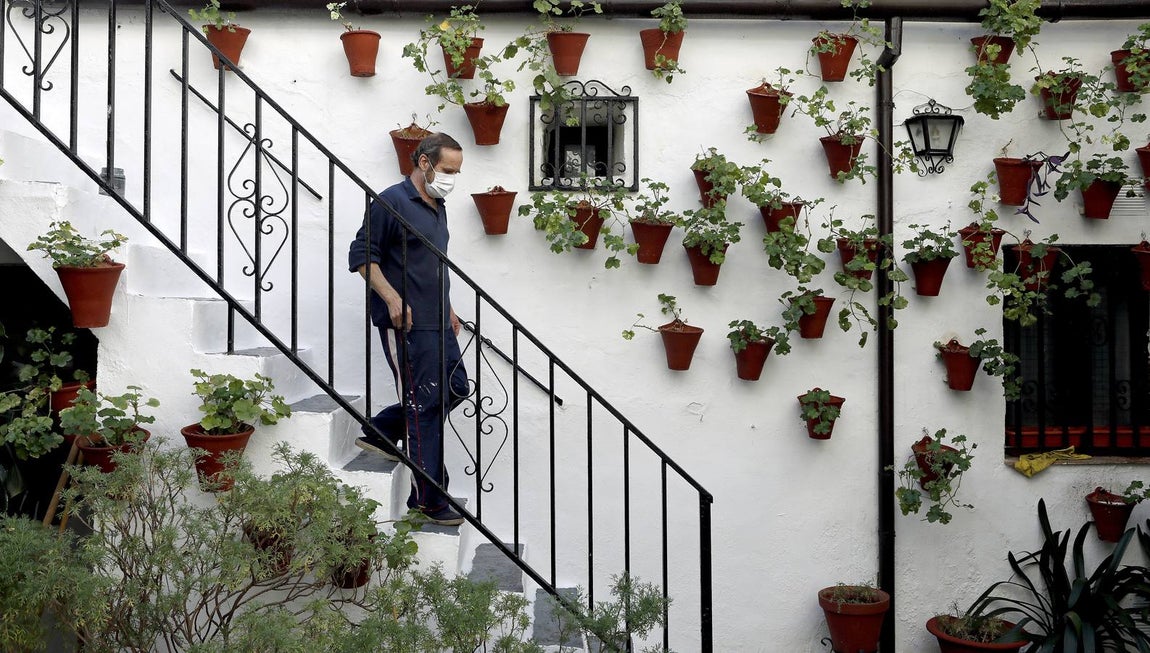 En imágenes, los Patios de Córdoba 2020 se preparan para su apertura