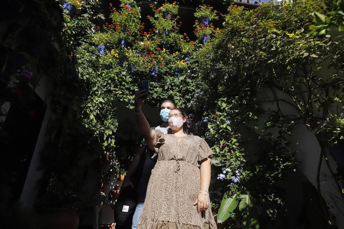 Patios de Córdoba 2020 | La ruta del barrio de San Basilio, en imágenes