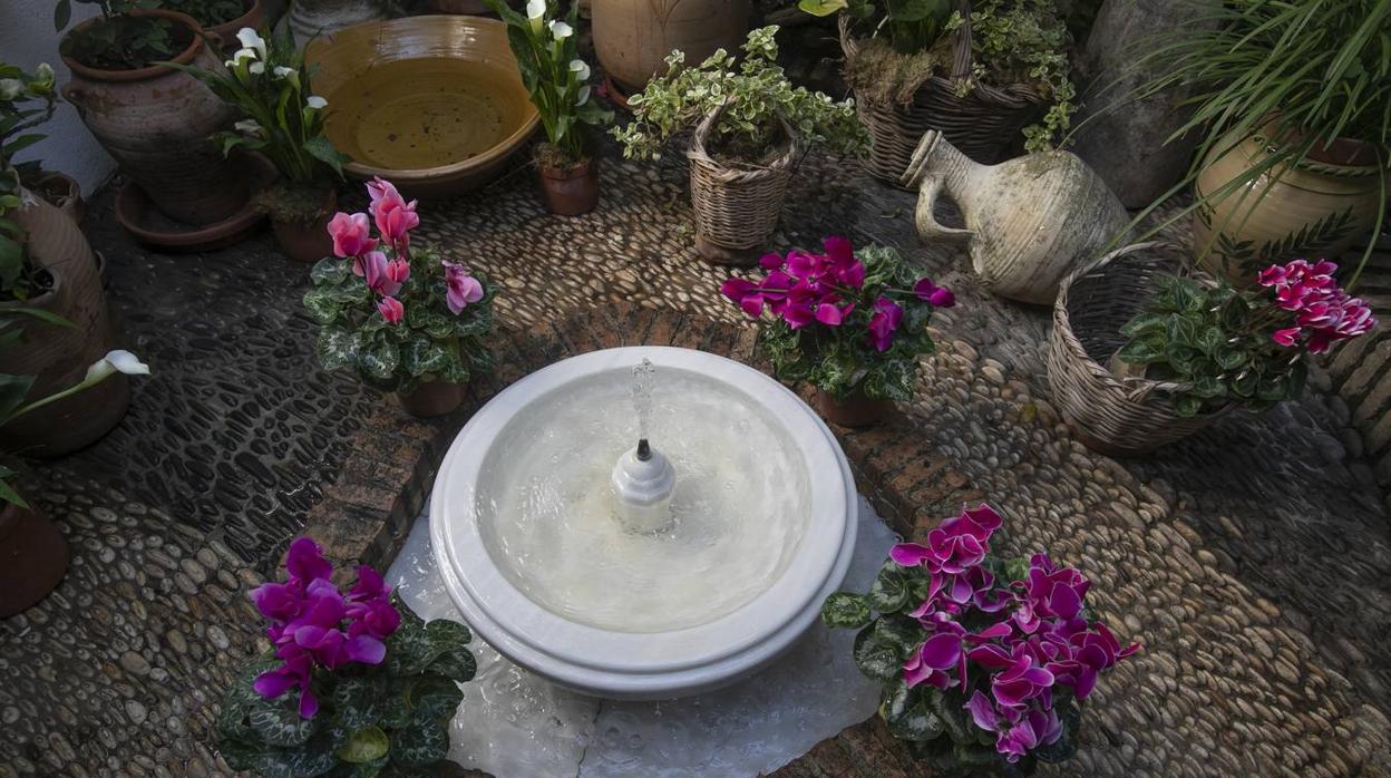 Los patios de Santa Marina de Córdoba, en imágenes