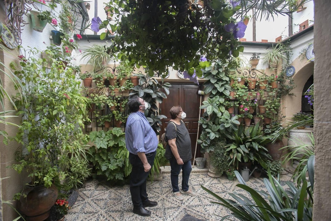 Los patios de Santa Marina de Córdoba, en imágenes