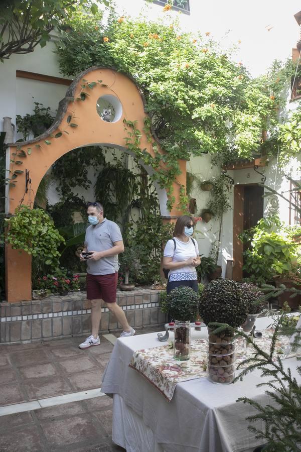 Los patios de Santa Marina de Córdoba, en imágenes