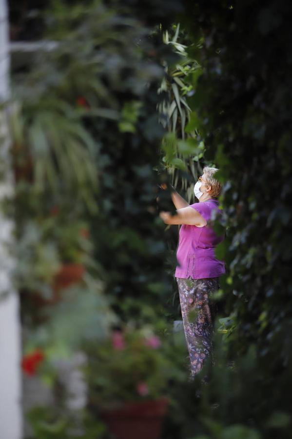 Los patios de San Pedro y Santiago de Córdoba, en imágenes