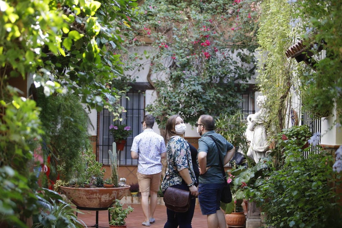 Los patios de San Pedro y Santiago de Córdoba, en imágenes