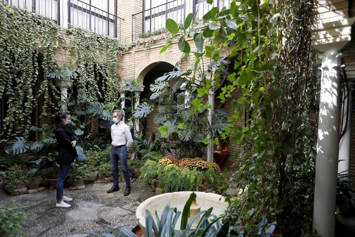 Los Patios de la Judería y San Francisco de Córdoba, en imágenes