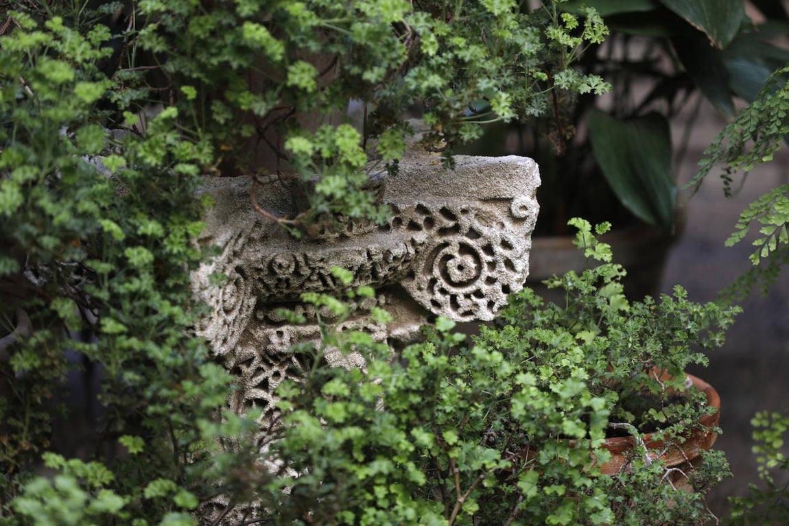 Los Patios de la Judería y San Francisco de Córdoba, en imágenes